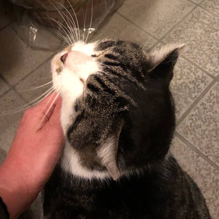 88c132f8 4bae 4014 9033 df26b36545a1 1519474701575