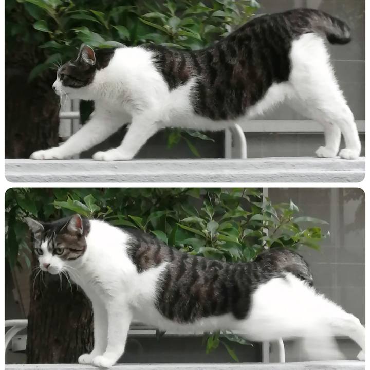 88c17ab7 4f92 4151 a687 a278b7370d98 1662327813592