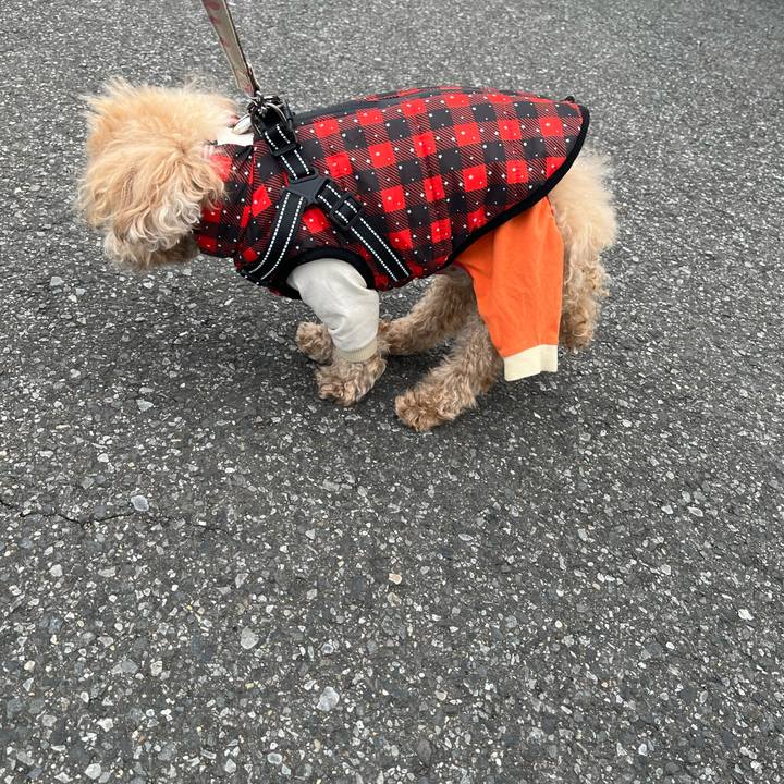 88c17e0a 152e 4923 9779 a472c0326626 1769064465517