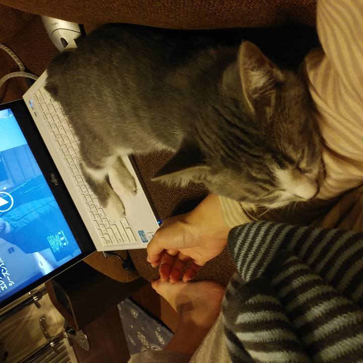 88c1b84c 4a4c 4152 acf1 906c3a0ccba8 1565100314821