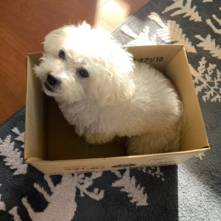 88c1bff7 4e88 4b78 b725 3d7ea126312a 1667252680425