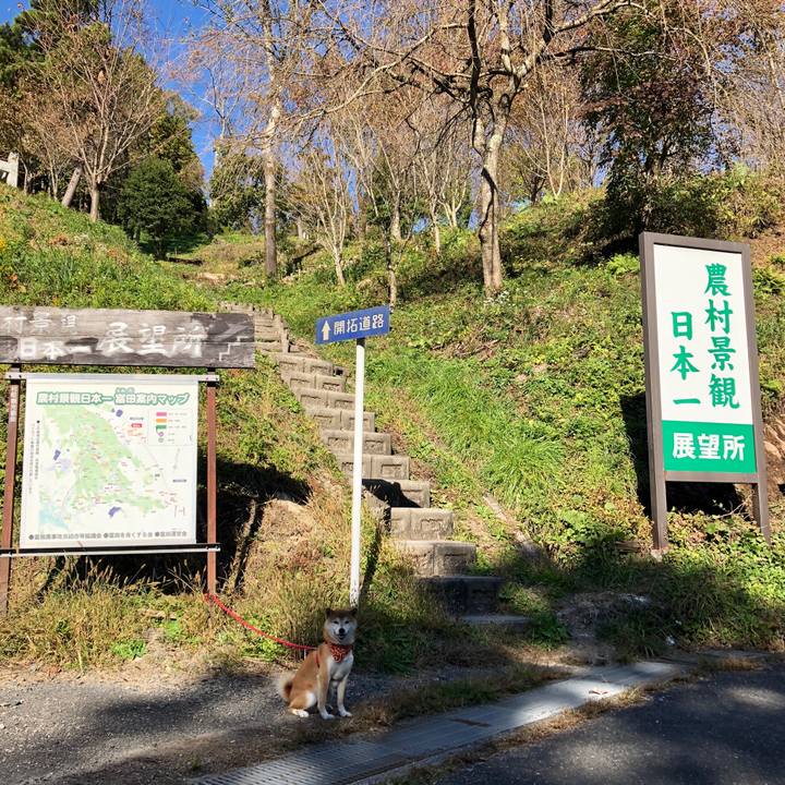 88c21f79 d360 40d1 a940 a12663c50f86 1541149818927