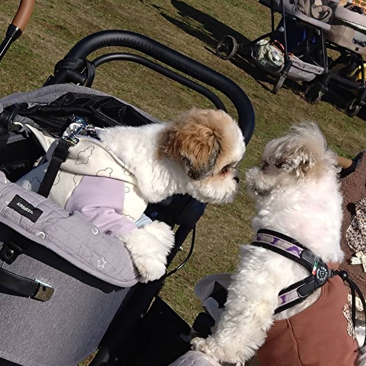 88c24c3c 21b8 48e7 b909 2a9e2436386b 1730761252402