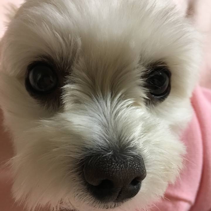 88c2696e 339e 49cd 8d48 89e2fc4f8ee4 1514287142100