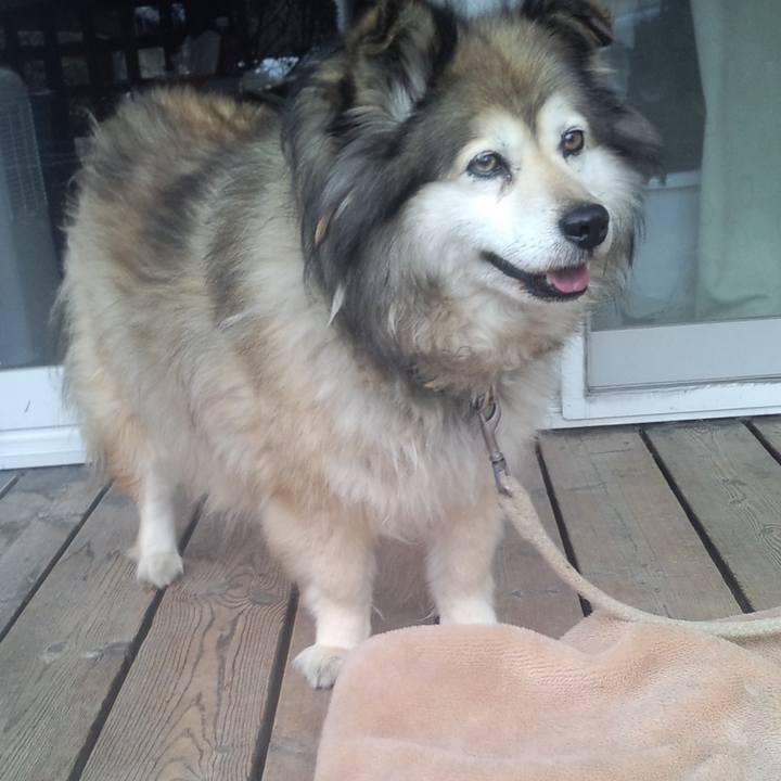 88c2d16d d53f 470a ac35 094d8f489c41 1573751608360