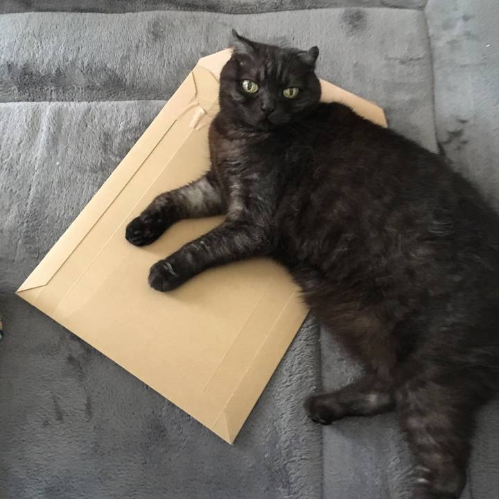 88c2e9e1 f228 441d 80f9 d0ac5f6aa937 1559061393822