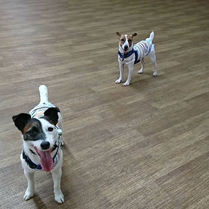 88c2e9eb db90 4d41 b119 671470acf282 1528017858046