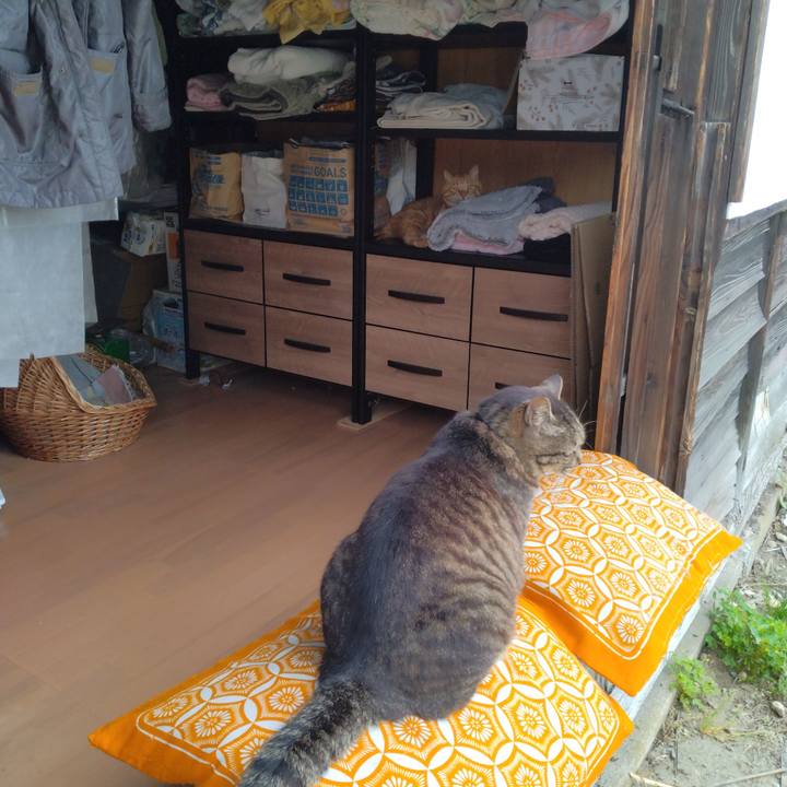 88c30724 427e 4dad 894b 0b34a1153c3a 1687400737702