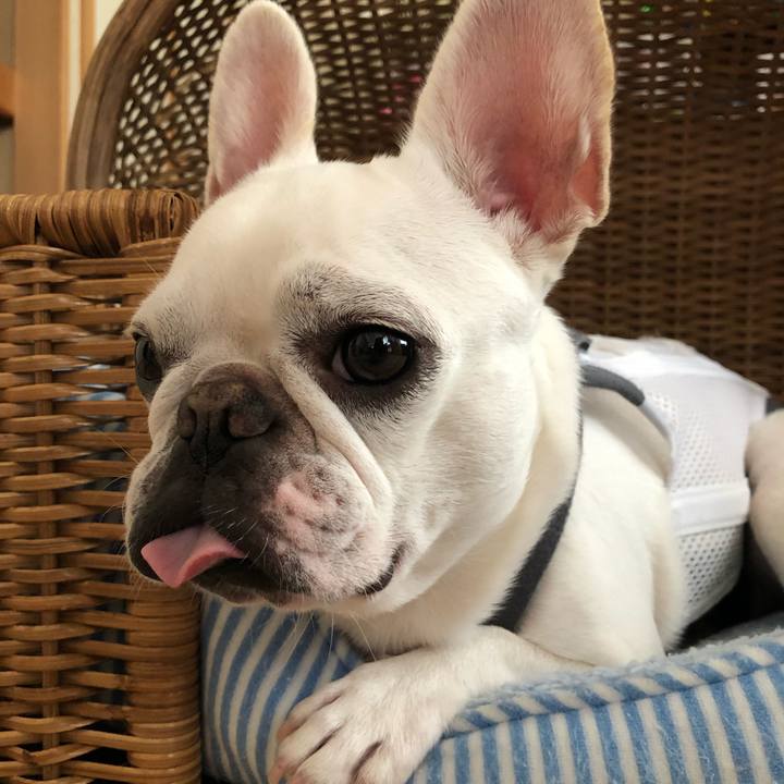 88c31d0c 68ef 44eb 8b21 2161c0052cfe 1566101509032