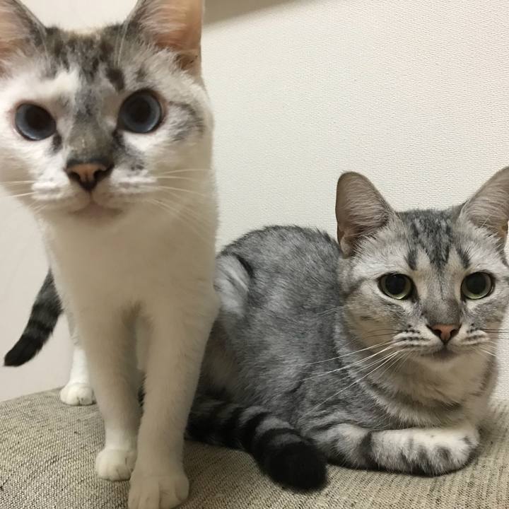 88c32b0b a12f 4483 88eb 0018a0818ad1 1533469211110