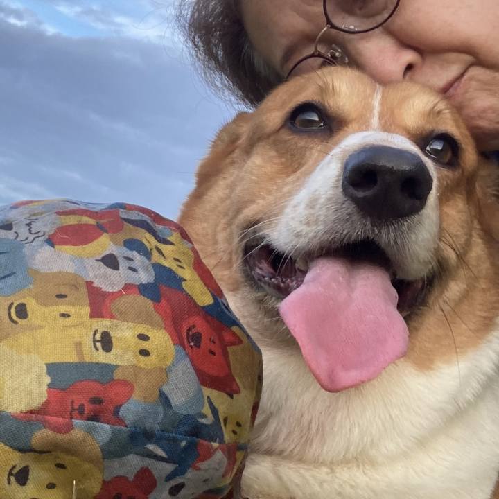 88c334e2 fb49 4089 80f7 9f0a6a2be2be 1730511920669