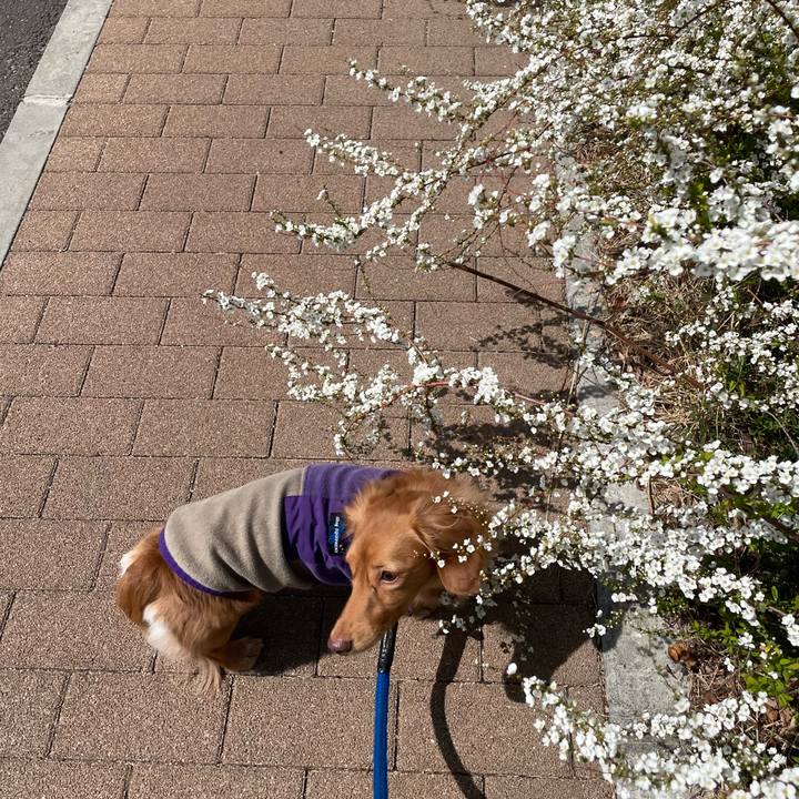 88c369ee 17b2 4531 a785 44859fb203a0 1742439912932