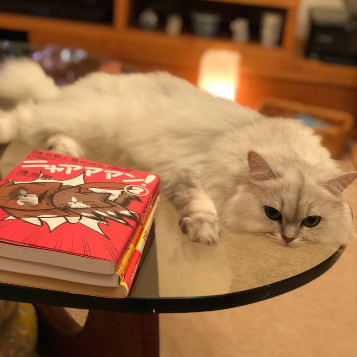 88c380e8 3fdd 4306 a287 80ce35b8859d 1532526141596