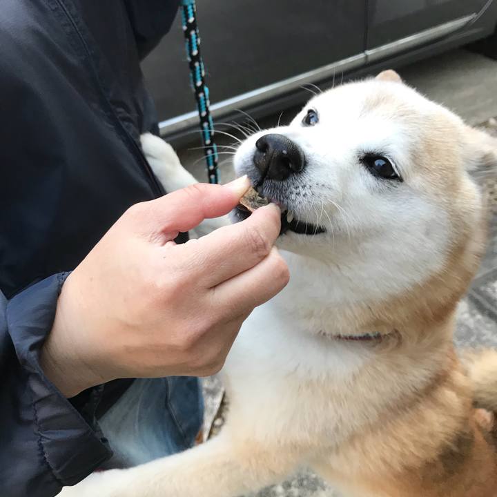 88c3a815 a262 4d8a 8028 8dbf24dd43d5 1524129319004