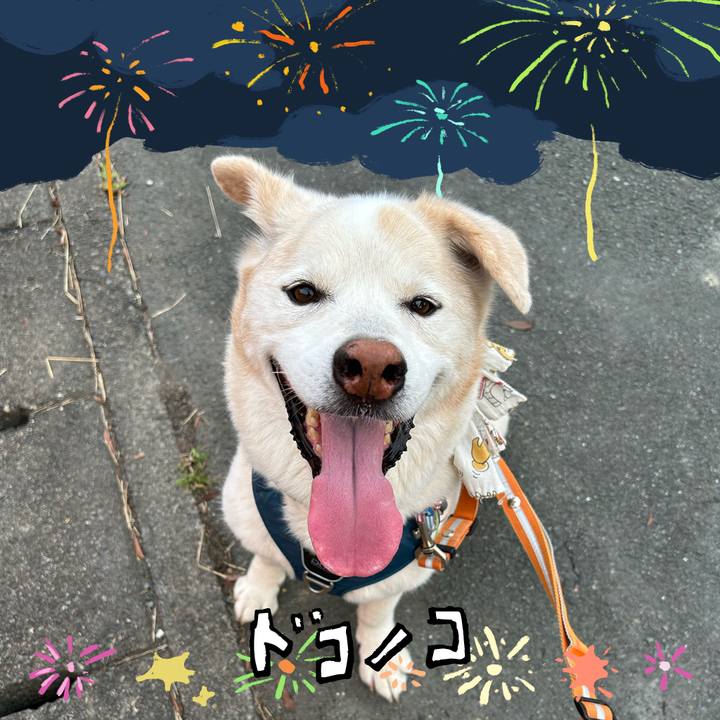 88c3bdd5 b4bb 4423 a1ad 06a594b1f719 1723182006553