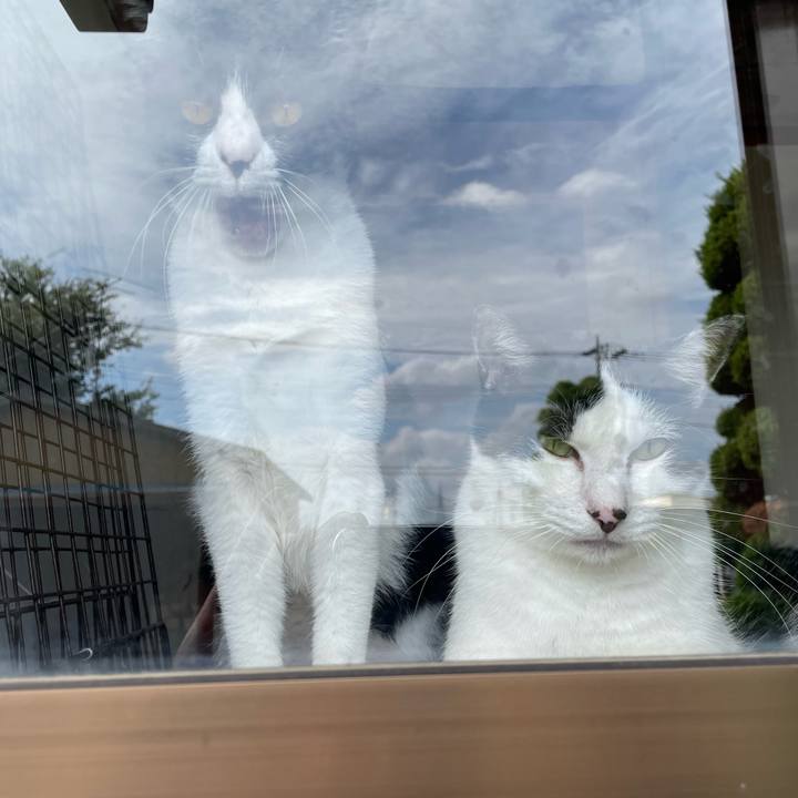 88c3de60 ea8c 42a8 83c1 e01d05688fa6 1695698251009