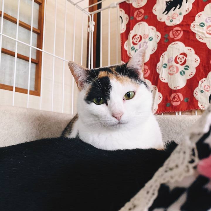 88c3e7bd 3a4c 4b04 974f 1c3d56c51d8c 1554604602168