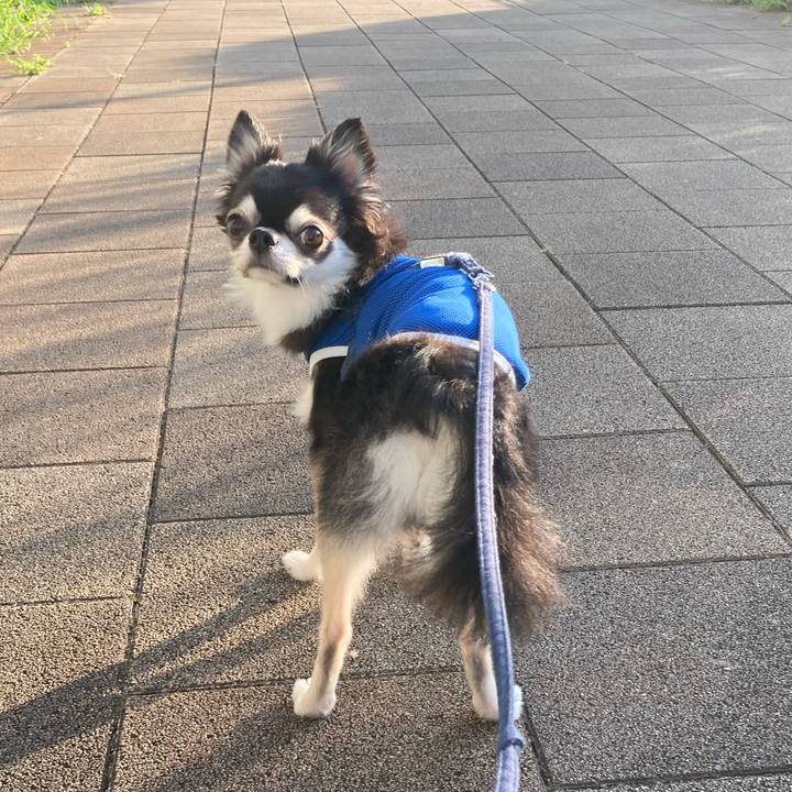 88c4155c 8a3a 4eb5 8c86 fdbcc09fbf00 1692460671119