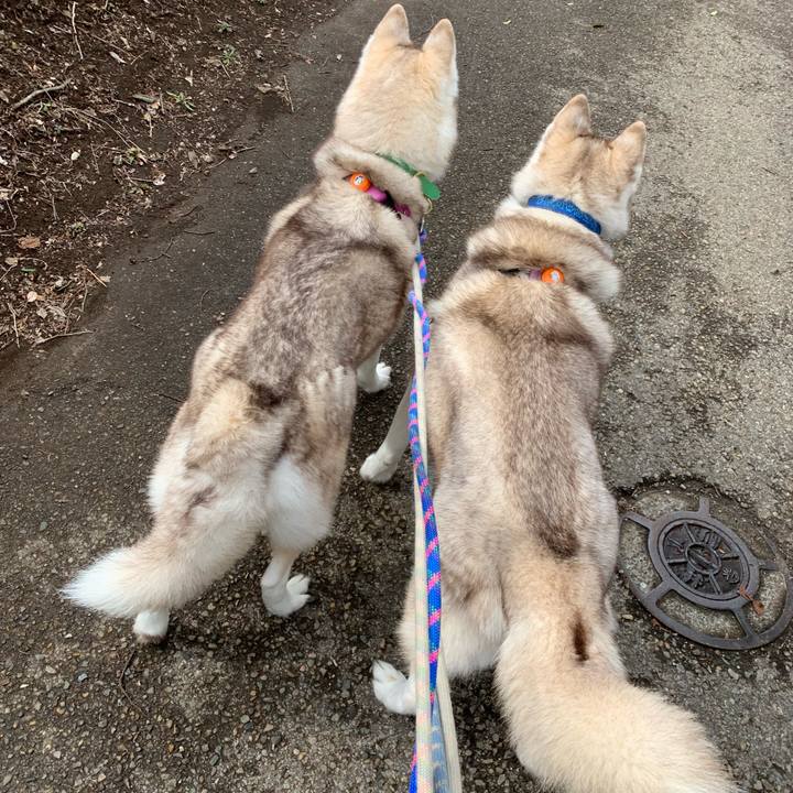 88c47484 7f30 4165 a1b1 6a4106fc8ca7 1581761040948