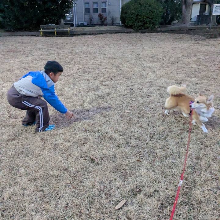 88c49028 0d6a 4ec3 81e7 c19087f170b4 1766997652044