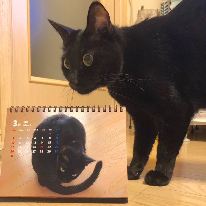 88c49d7e 2f07 4f79 815f 83e72415191b 1551445038664