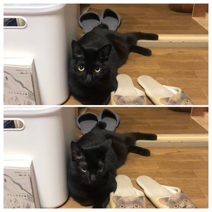 88c4ac17 e288 4483 bac0 b3e79eb8d7df 1630674810352