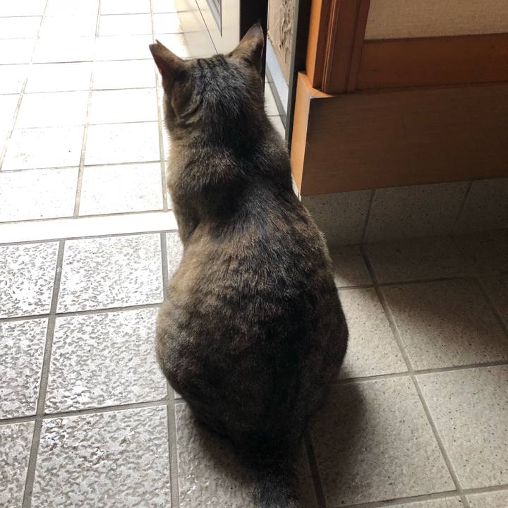 88c4d1b1 c874 4d89 bde9 b80d2961a35c 1529731671999