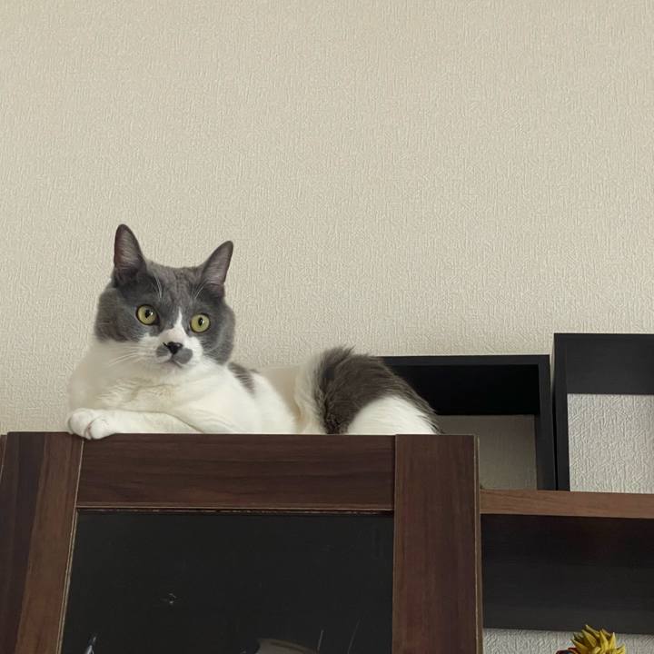 88c4f9ff 85de 4bd6 99b4 51198e25e630 1664781576743