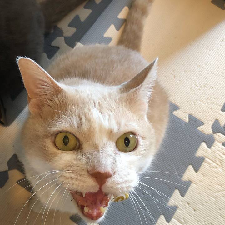 88c4faa9 d687 4b92 8036 5cb9f71d08ad 1570327948313