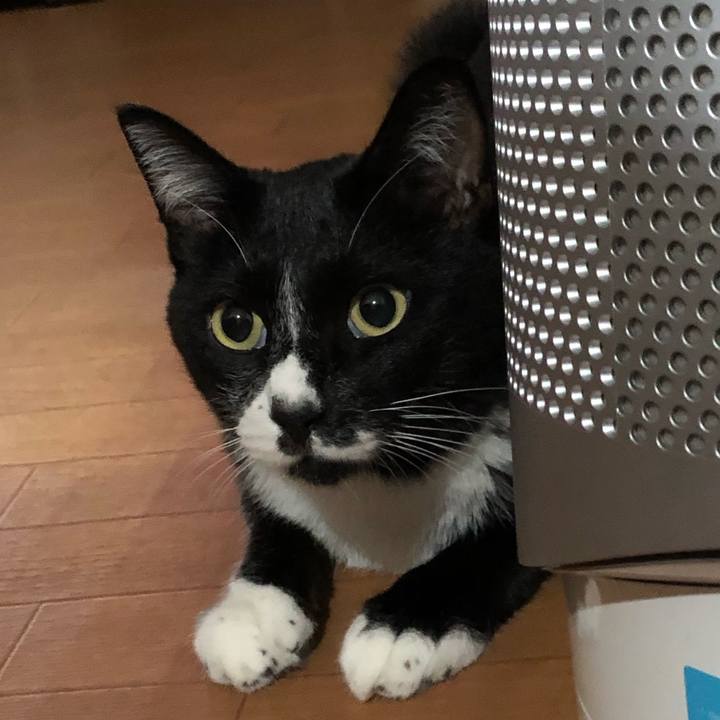 88c51a45 57a8 4892 8a4c 720d01e970e5 1600832268499