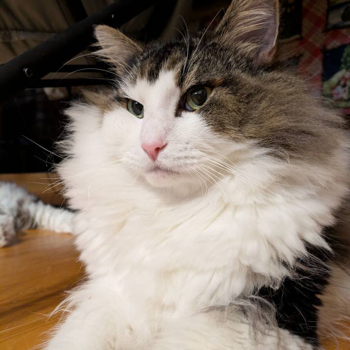 88c56e59 3969 4527 a869 07f8be7b19e6 1762516603623