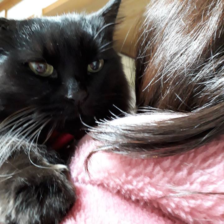 88c589ac 1781 43f2 bb95 1b2b88f8471b 1518817383712