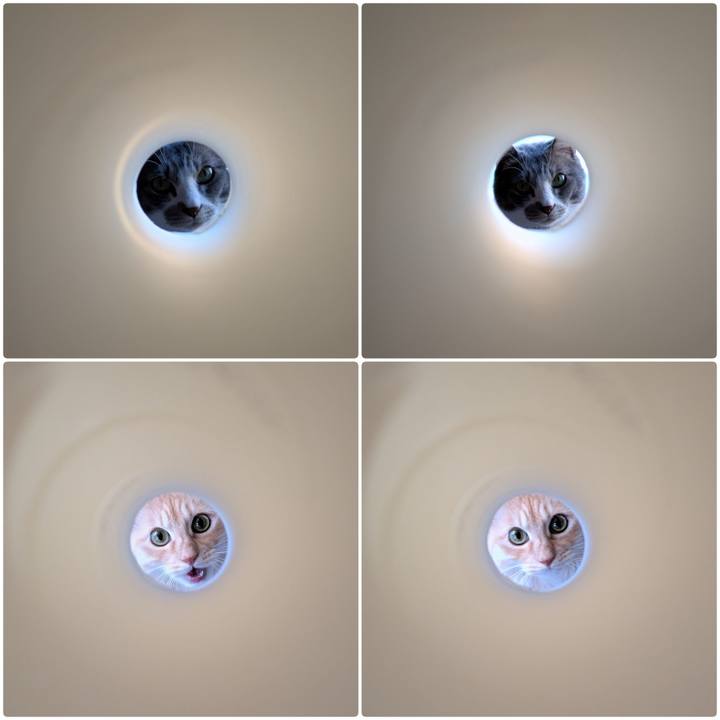 88c58e89 4f8a 40b3 b19a aa7a5fa5aa57 1735454643423