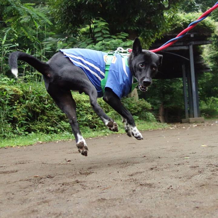 88c59273 42d0 4db8 aaa6 affea0a4849b 1592781855627