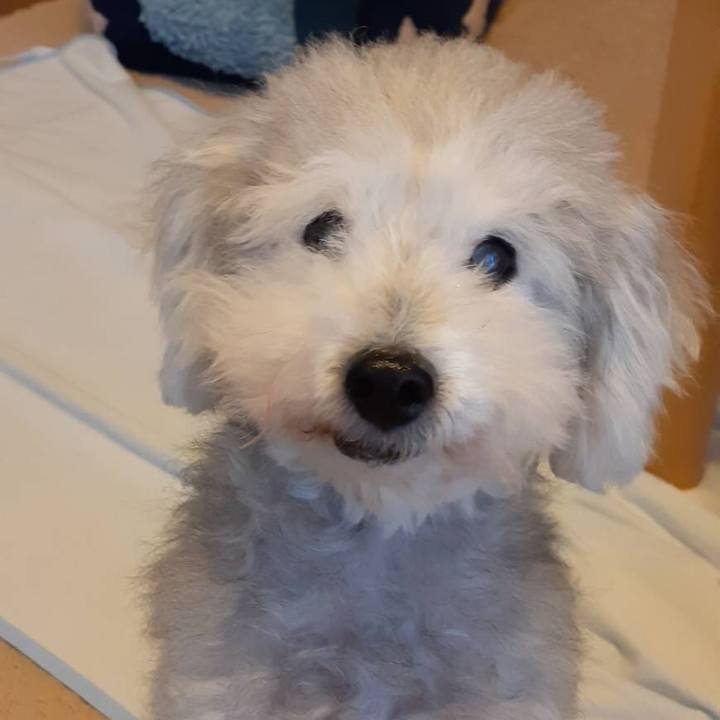 88c5a0bd 3e19 4409 83d9 f1472b67fc86 1638489864426