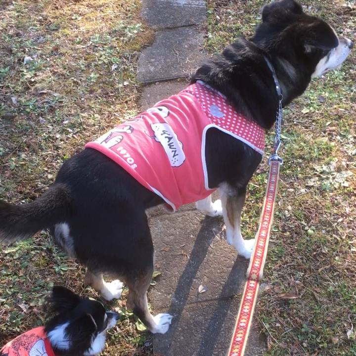 88c5c8f8 e36f 4bd2 9652 8c07ce8d5d7c 1766192238594