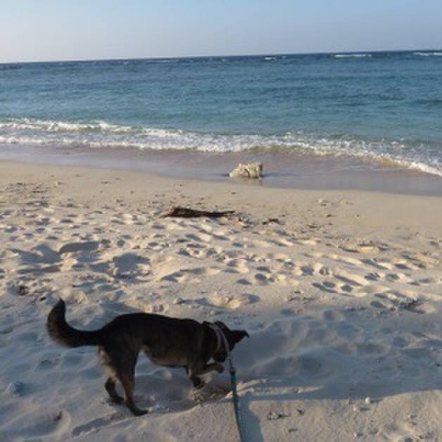 88c5caaa 6a4c 487d a621 9511daf9fa5e 1578579792553