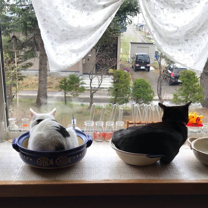 88c5e23e 6147 40e0 92c9 73bfe059c452 1588803353002