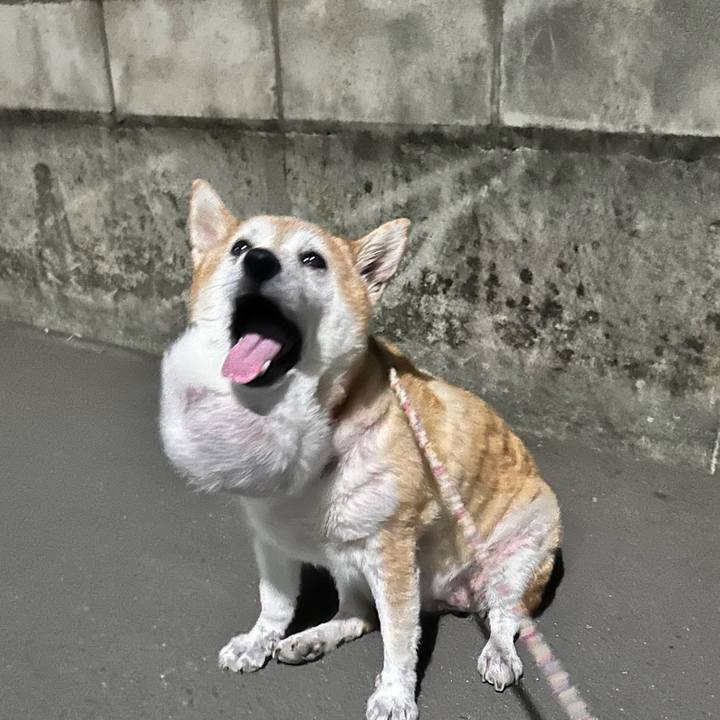 88c648ce 9608 4c73 b7a1 65de21d869ed 1759915630035