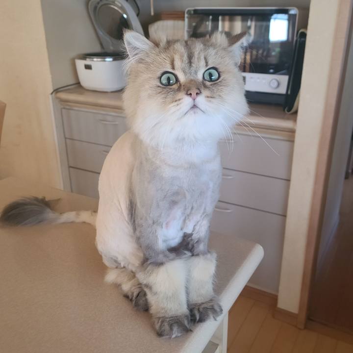 88c66290 d0e4 408d 82cd ee1a0cef1045 1654134242188