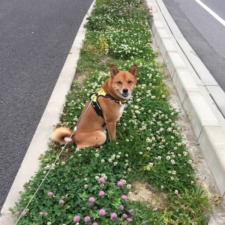 88c665f6 2820 44c2 8fa9 1ecde312db0f 1524967372935