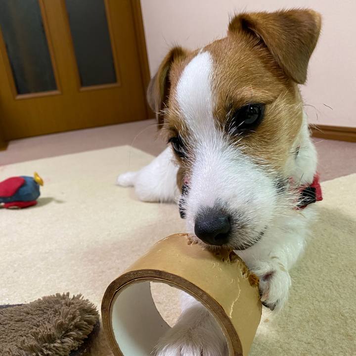 88c6cb8a 05cb 4734 902e efc5e0619028 1621435018691