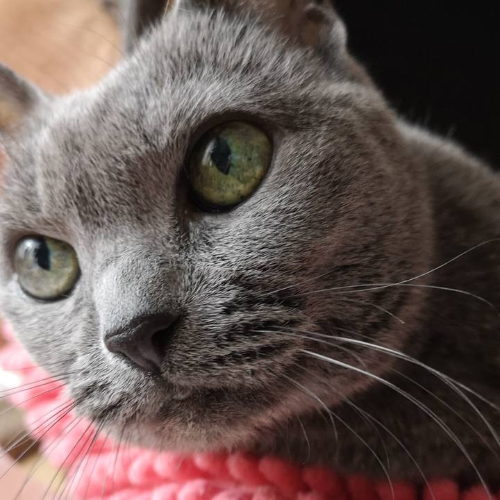 88c6cc94 00fc 4ce3 a54d b6ab8a51dbd7 1634960794665