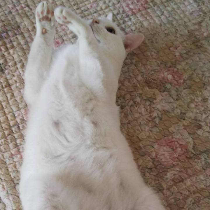 88c70539 6084 4b94 96e5 f9279b716a9b 1537959834314