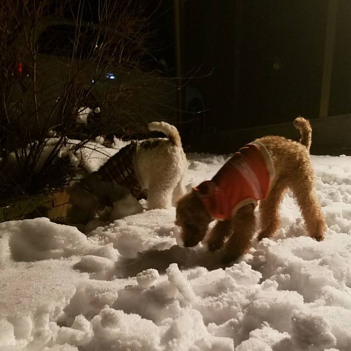 88c775e2 0d1c 4d5b a99d 7100c6418c8c 1516019189446