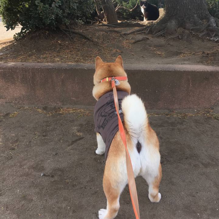 88c779d5 cc7d 4d9f afb6 d43dc2aa82f3 1613218543944