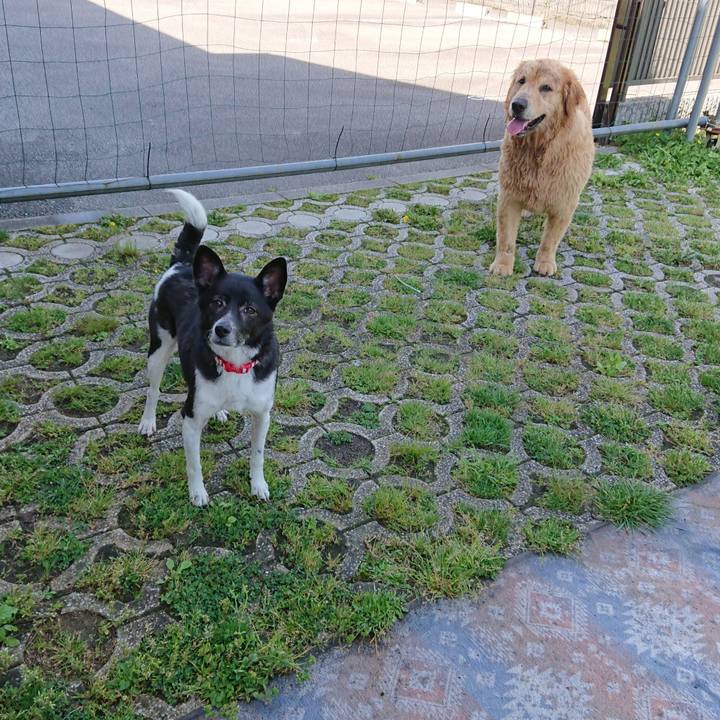 88c789c1 1e89 489c 8b07 ef7e608c9185 1620297147717