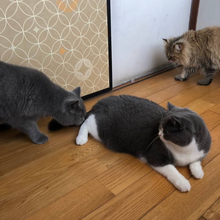 88c791ad 68e9 4c68 9801 a1f9ab1546a3 1568243774927