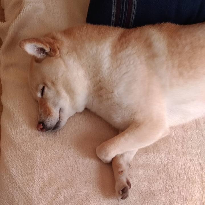 88c80b63 4c81 47f0 80b5 c32ba170d80b 1585005045360