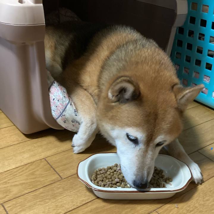 88c8a637 b72d 484b bf99 0f60fc131d35 1696293937313